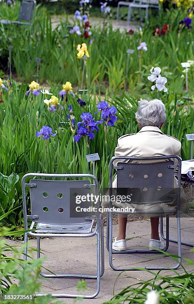 alone in the garden - weduwe stockfoto's en -beelden
