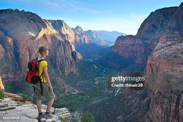 hiker looking at views of mountains - pursued stock pictures, royalty-free photos & images