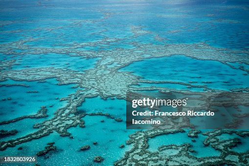 Natural Textures of Great Barrier Reef from above, Queensland, Australia.