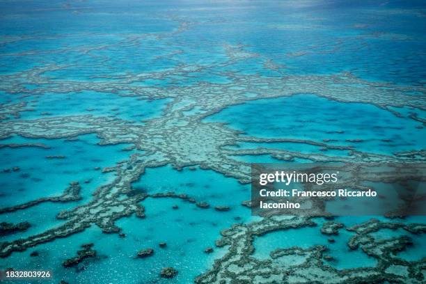 natural textures of great barrier reef from above, queensland, australia. - recife fenómeno natural imagens e fotografias de stock