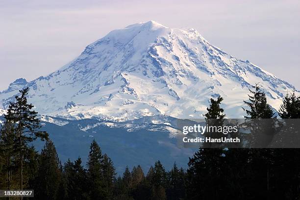 top of moint rainier - mt rainier stock pictures, royalty-free photos & images