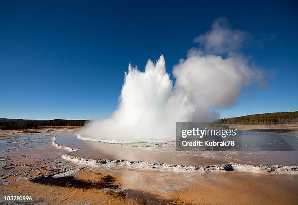 eruption of yellowstone's geyser - yellowstone national park bildbanksfoton och bilder