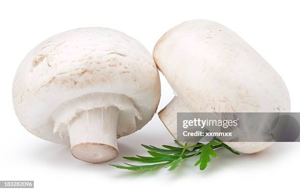 white mushrooms - white mushroom stockfoto's en -beelden