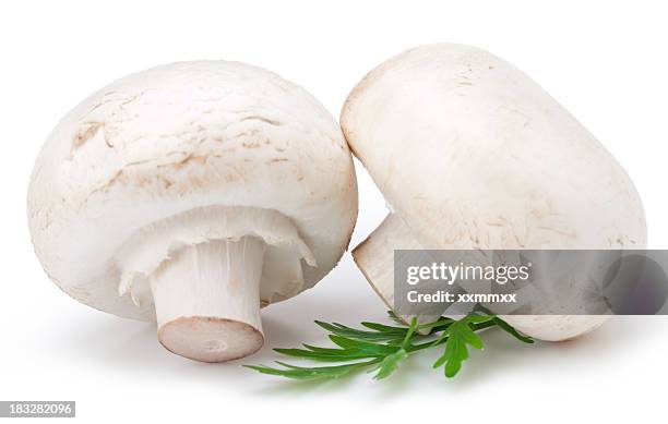 white mushrooms - mushroom isolated stock pictures, royalty-free photos & images