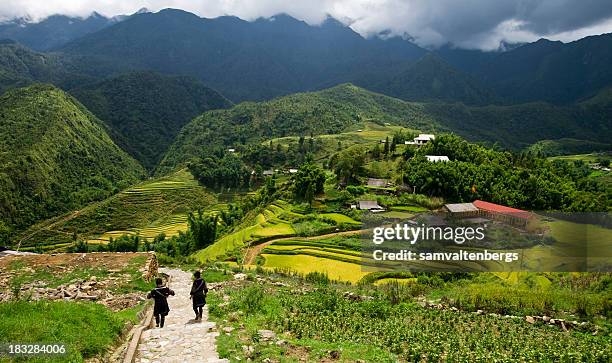 sapa rice fields - hmong stockfoto's en -beelden