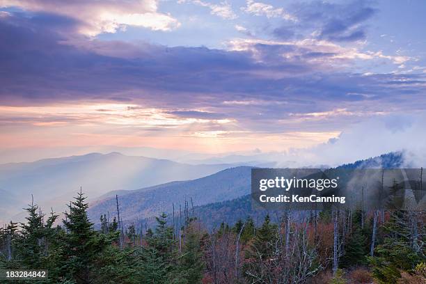 tranquila montanha, ao pôr-do-sol - clingman's dome - fotografias e filmes do acervo