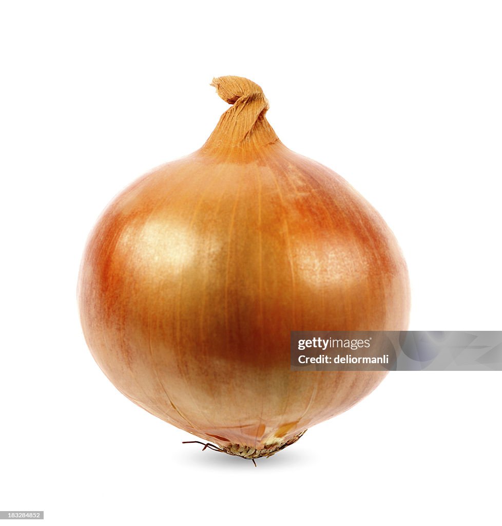 Onion on White Background