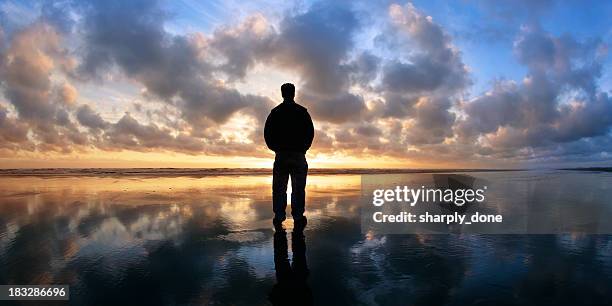 xl abgeschiedenheit beach silhouette - great depression stock-fotos und bilder