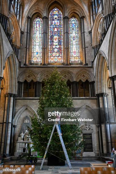 Richard Pike, ecclesiastical Joiner at the Cathedral, adds the final lights to the Cathedral Christmas tree at Salisbury Cathedral, on December 05,...