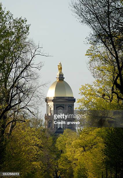 golden dome in spring - indiana nature stock pictures, royalty-free photos & images