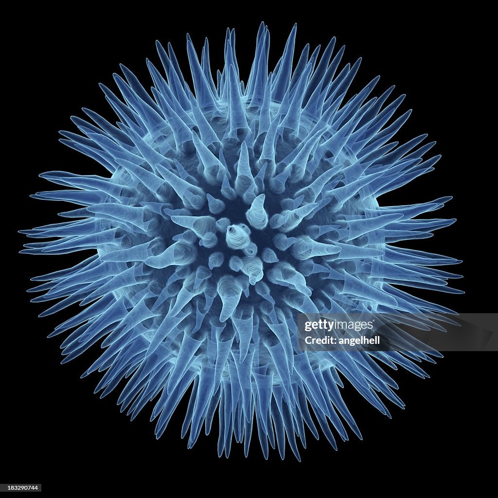 Xray of bio element (virus)