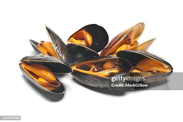 a pile of mussels on a white background - mussels stockfoto's en -beelden