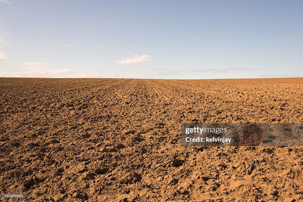 Empty muddy field of red soil