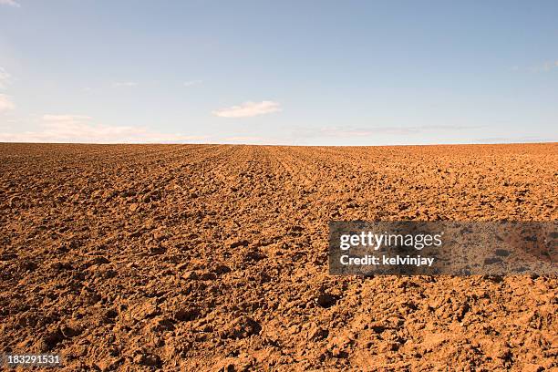 empty muddy field of red soil - farming drought stock pictures, royalty-free photos & images