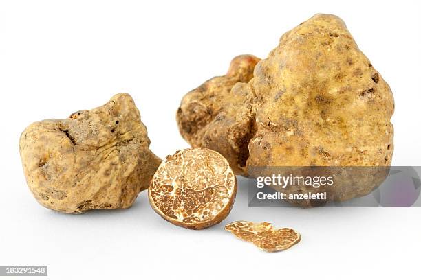 white truffles - piedmont italy stockfoto's en -beelden