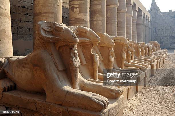 ram leitung sphinx - luxor stock-fotos und bilder