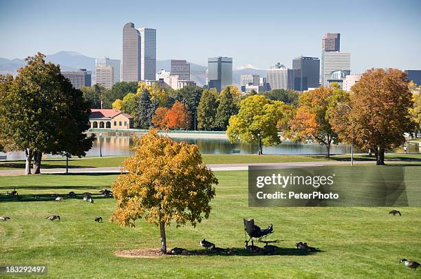 denver during fall season - denver stock pictures, royalty-free photos & images