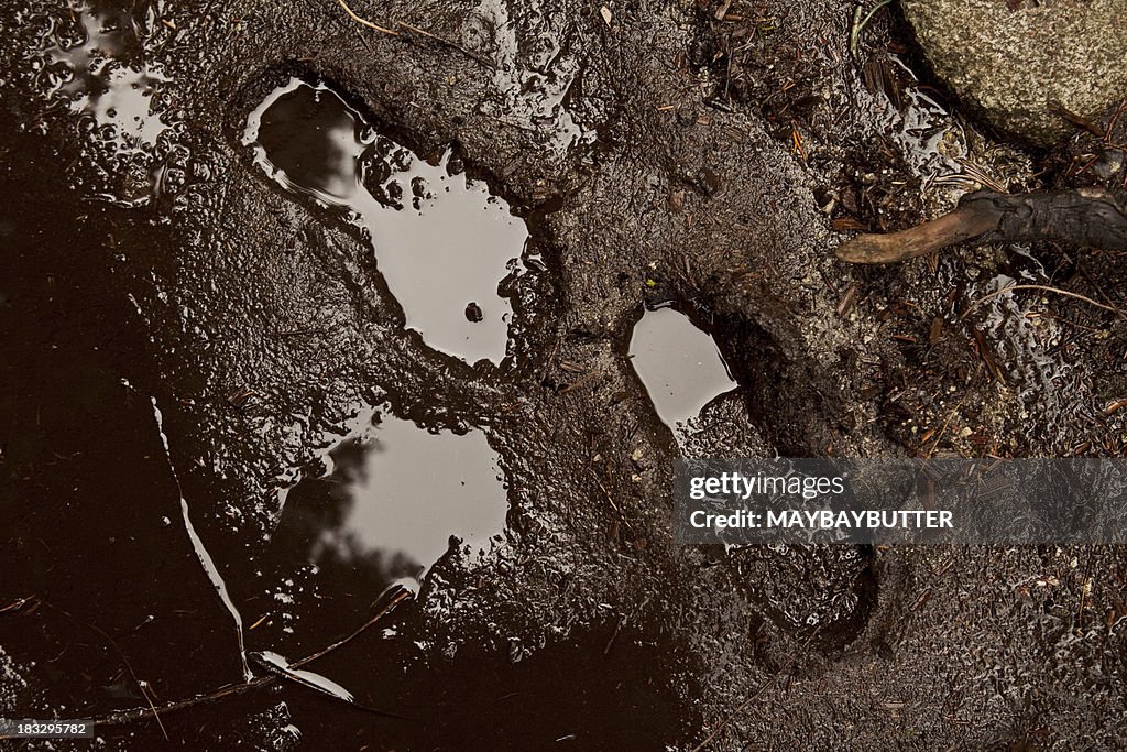 Mud