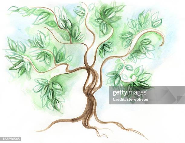 tree - small tree stock illustrations