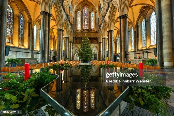 The Cathedral Christmas tree at Salisbury Cathedral, on December 05, 2023 in Salisbury, England. The 32-ft Norway Spruce, from Longleat Forest, was...