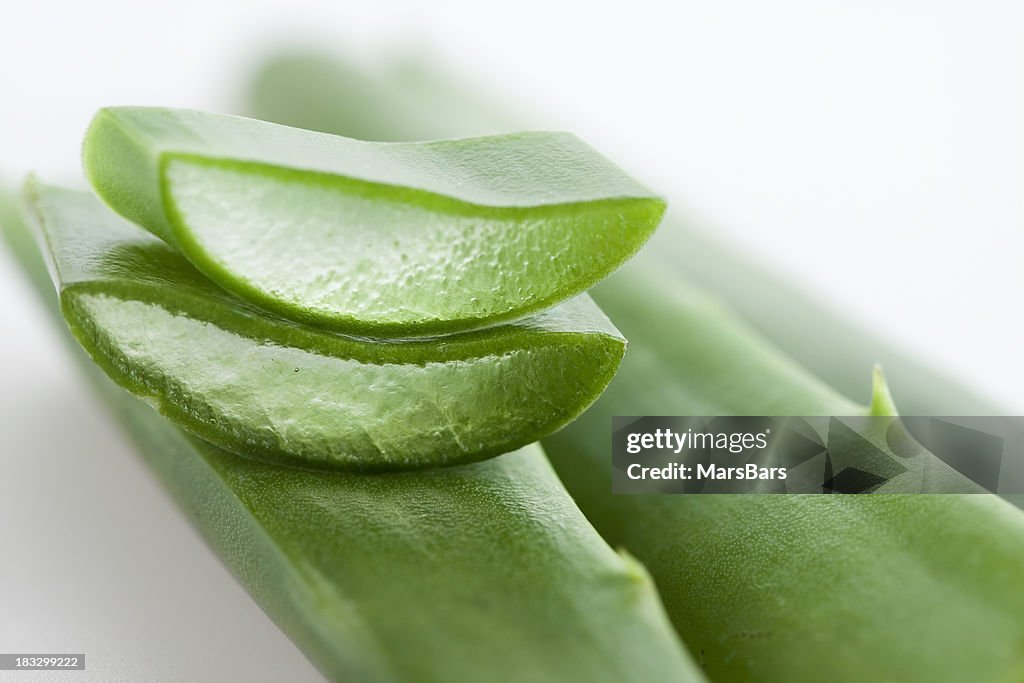 Aloe vera macro