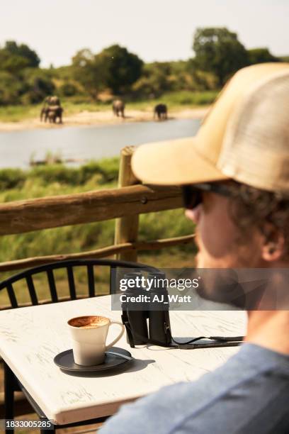 mann blickt auf die aussicht von der terrasse einer wildreservat-lodge - großwild stock-fotos und bilder