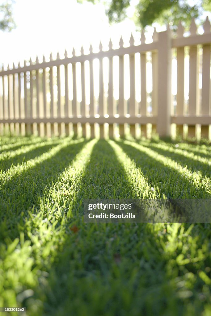 Perspective shadow picket fence