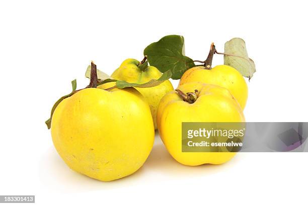 quinces - quince stock pictures, royalty-free photos & images