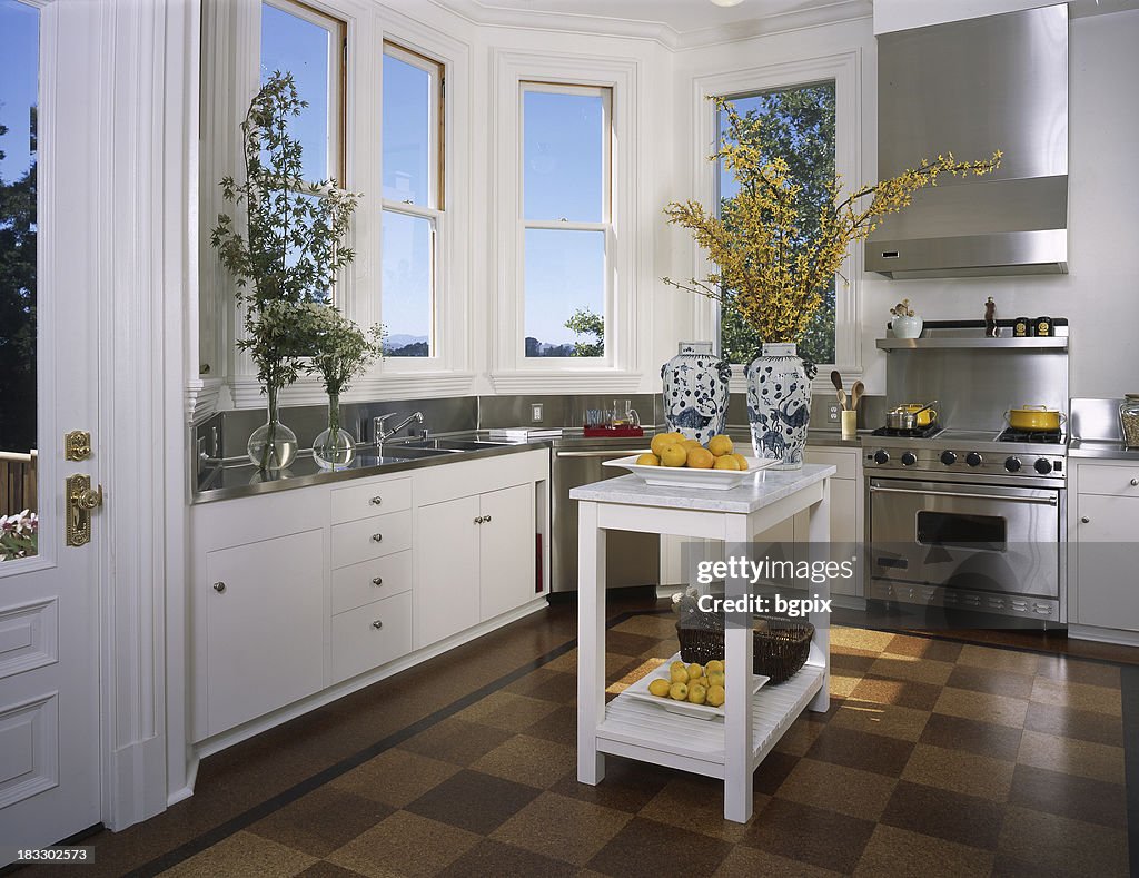 White Contemporary Kitchen