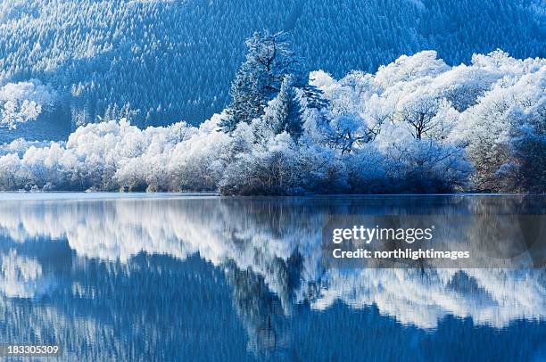 winter reflections - snow uk stock pictures, royalty-free photos & images