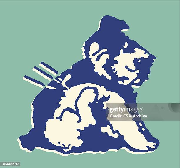 dog scratching its ear - dog scratching stock illustrations