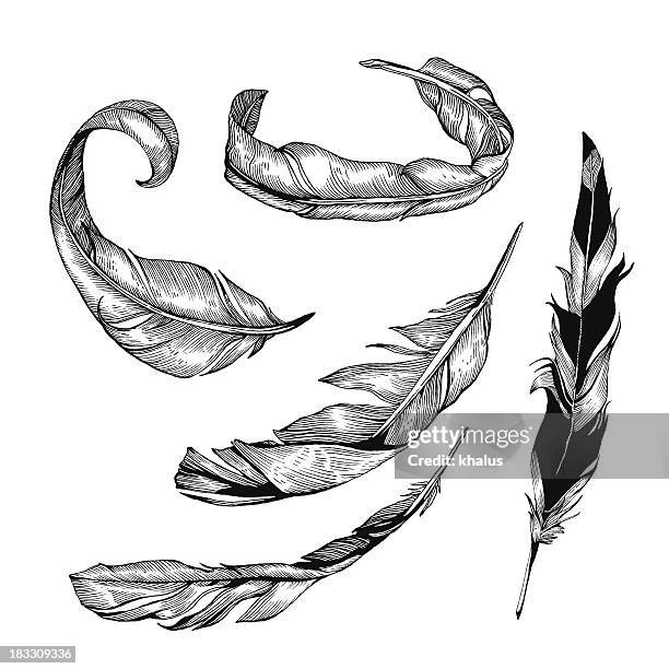 feather set - falling feathers stock illustrations