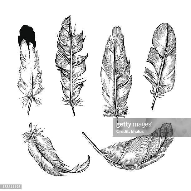 feather set - feather floating stock illustrations