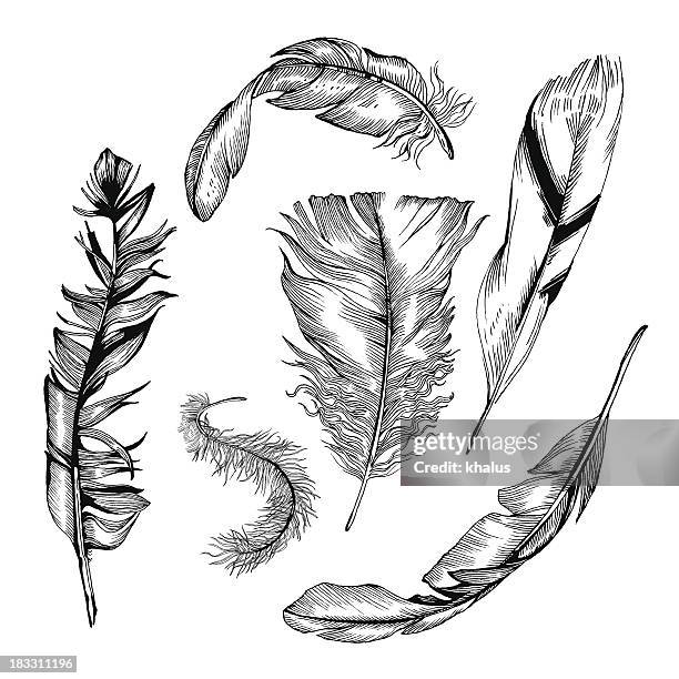 feather set - feather floating stock illustrations