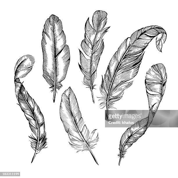 Feather Set High-Res Vector Graphic - Getty Images