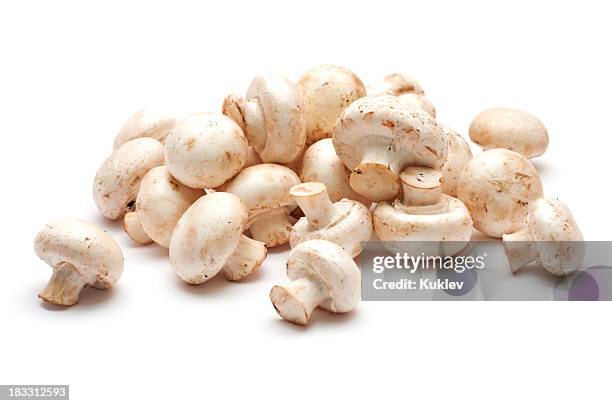 mushrooms - champignon stock pictures, royalty-free photos & images