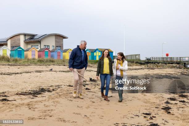 old friends walking along a beach - beach house stock pictures, royalty-free photos & images
