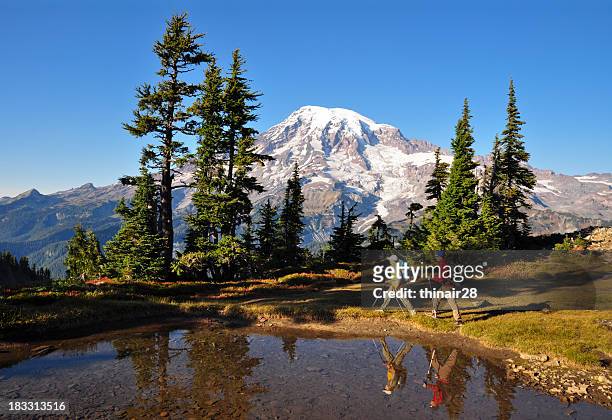 hiking mt. rainier - washington state stock pictures, royalty-free photos & images