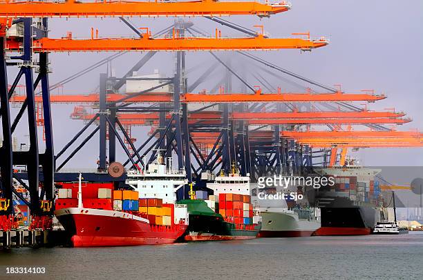 container terminal in the harbor - rotterdam harbour stock pictures, royalty-free photos & images