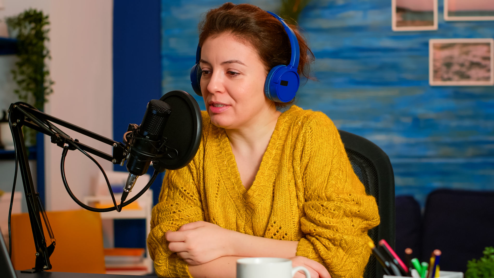 niche podcast