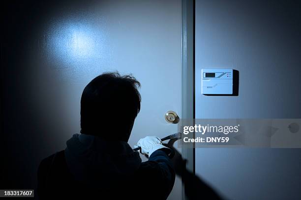 burglar - alarm system stock pictures, royalty-free photos & images