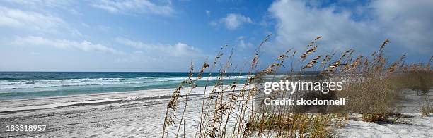 el golfo de méxico, en florida penascola - pensacola beach fotografías e imágenes de stock