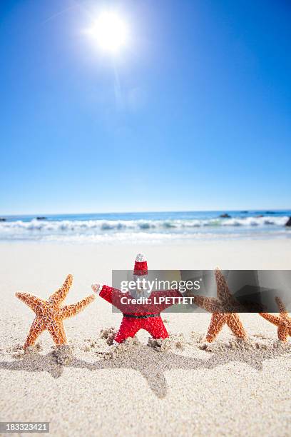 santa star fish - surfing santa stock pictures, royalty-free photos & images