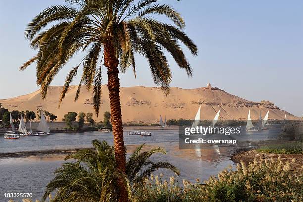 nil im aswan - nile river stock-fotos und bilder