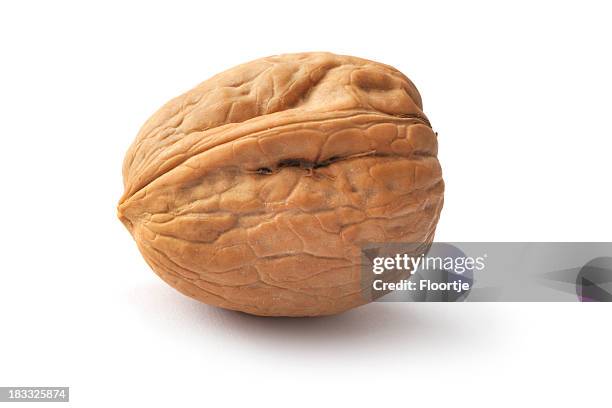 nozes: walnut - fruta seca - fotografias e filmes do acervo