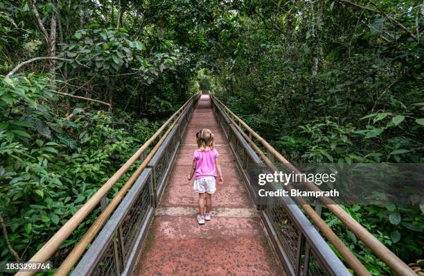 young girl exploring the breathtaking mighty iguazu falls in iguazu national park on the boarder of argentina and brazil, south america - elevated walkway stock pictures, royalty-free photos & images
