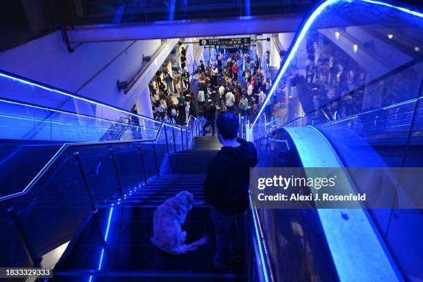 Man and dog watch from the stairs as people continue a prayer circle and sing along in the underground parking lot as a barrage of rockets is fired...