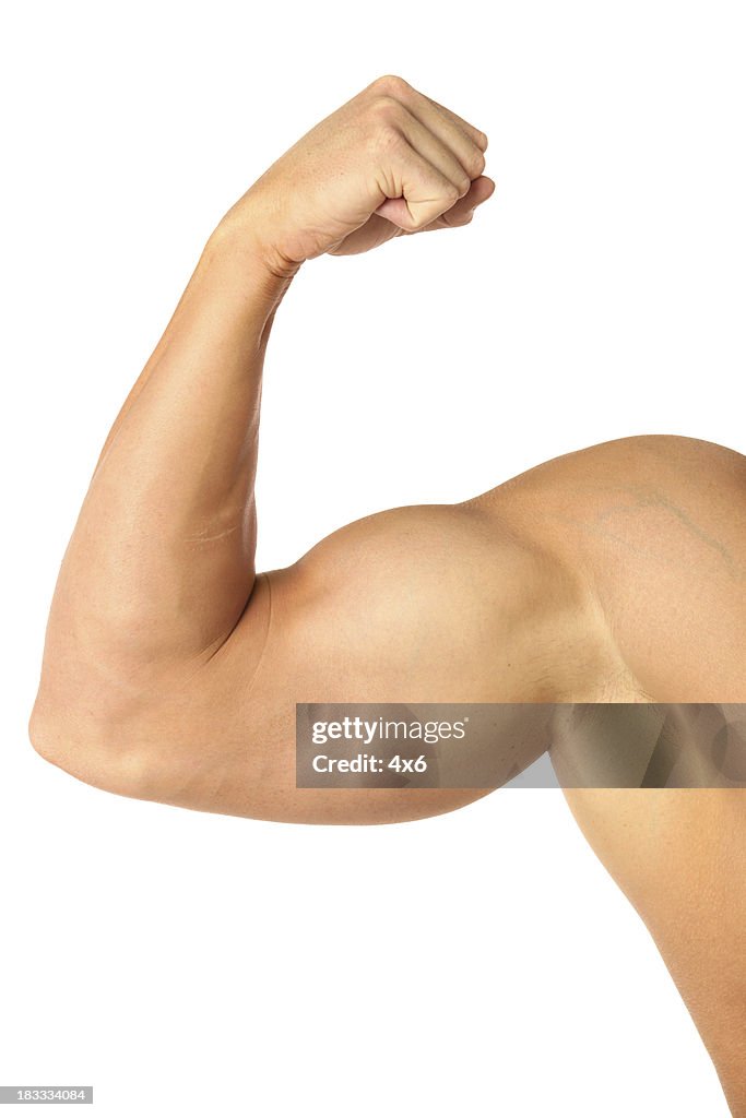 Muscular biceps