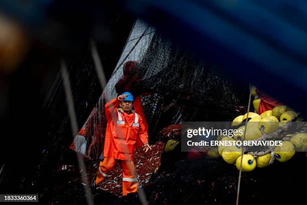 Fisherman carries out a fishing task aboard an anchovy boat out to sea after 5 miles in the department of Lima on November 19, 2023. El Niño, the...