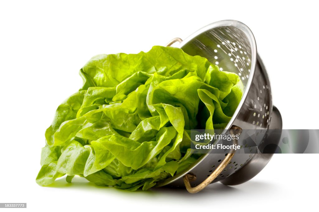 Vegetables: Butterhead Lettuce in Colander